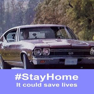 Meet your Posher, Scotty